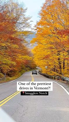 the road is lined with yellow trees and orange leaves on it, one of the prettiest drives in vermont?