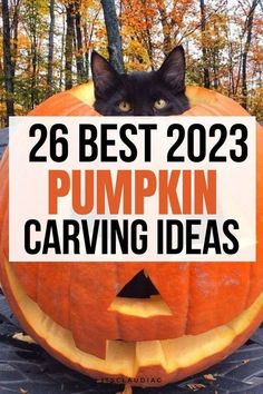 a black cat sitting inside of a pumpkin with the words, 26 best halloween pumpkin carving ideas