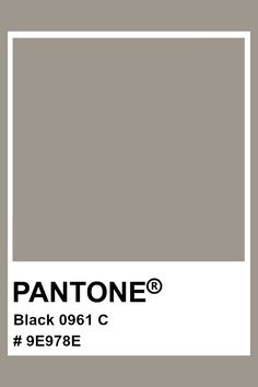 the pantone color is shown in black and white