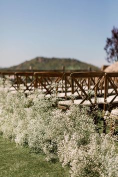 an empty wooden bridge surrounded by white flowers