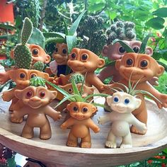 there are many small figurines in the shape of monkeys on a tray with cacti and succulents