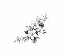 a black and white drawing of flowers on a white background