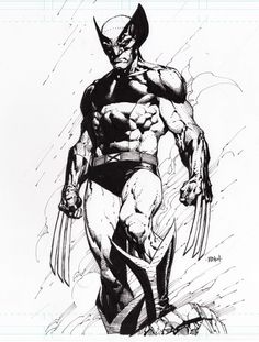 a black and white drawing of wolverine