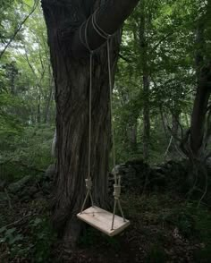 a wooden swing suspended from a tree in the woods with ropes hanging down to it's sides