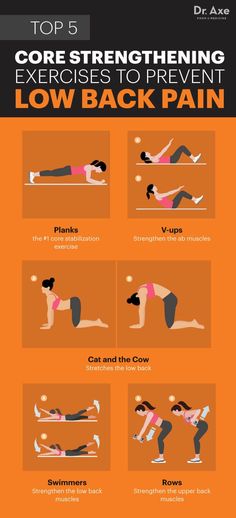 the top 5 exercises to prevent low back pain info poster with instructions on how to do it