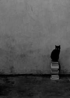 a black cat sitting on top of a stack of books next to a gray wall