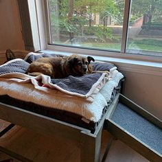 a dog laying on top of a bed next to a window