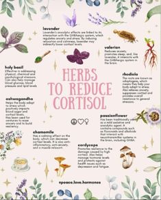 Regulate Cortisol, Lower Cortisol, Feminine Health