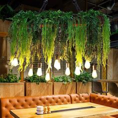 a restaurant with plants hanging from the ceiling and leather couches in front of it