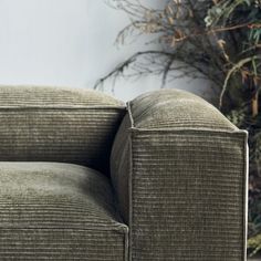 an upholstered green couch next to a potted plant