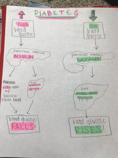 a piece of paper with different types of labels on it and arrows pointing to them