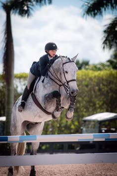 a woman riding on the back of a white horse over an obstacle course with palm trees in the background