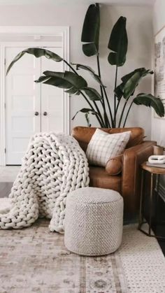 a living room filled with furniture and a large potted plant