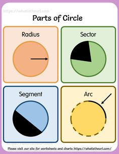 the parts of a circle in four different colors