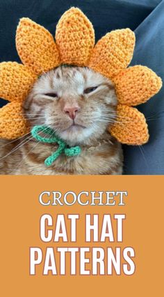 a cat wearing a crochet flower hat