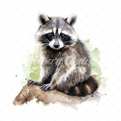 a raccoon sitting on top of a tree branch in front of a white background