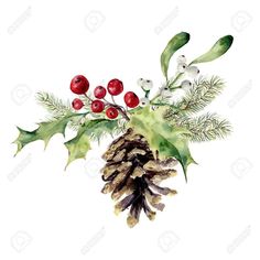 watercolor christmas decoration with holly, berries and pineconis on white background stock photo