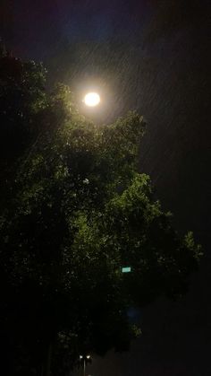 the street light shines brightly in the dark night sky above some trees and bushes