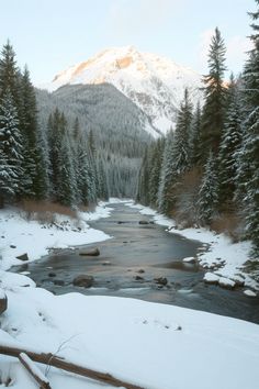 a river running through a snow covered forest next to tall pine trees and a mountain