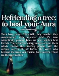 Motivation Witchcraft, Tree Meditation, Witch Tree, Earth Witch, Dream Magic, Spirit Magic, Metaphysical Art, Wiccan Magic, Witch Spirituality