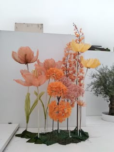 an arrangement of flowers in front of a white wall