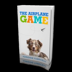 the book cover for the airplane game