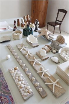 a table topped with lots of different types of seashells