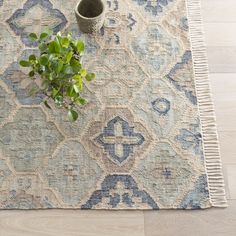 a potted plant sitting on top of a rug