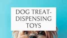 a dog holding a sign with the words dog treat dispensing toys on it