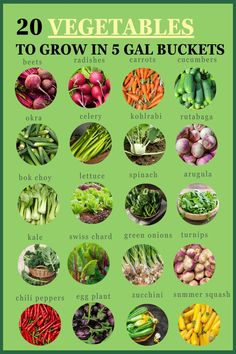 an image of vegetables with the title 20 vegetables to grow in 5 gal buckets