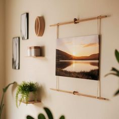 some plants and pictures hanging on the wall