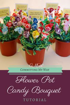 three potted plants with candy candies in them and the words, flower pot candy bouquet