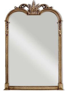 an ornate gold framed mirror on a white background with the reflection of it's own image