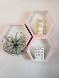 three hexagonal shelves with air plants on top and a candle holder in the middle