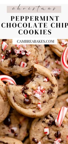 peppermint chocolate chip cookies in a pile after baking surrounded by candy canes. Peppermint Chocolate Chip Cookies, Bbq Dessert, Peppermint Chocolate, Christmas Baking Recipes, Christmas Food Desserts, Christmas Cooking, Chocolate Peppermint, Easy Baking Recipes, Chocolate Chip Cookie