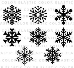 six snowflakes are shown in black and white, with the words color elastic