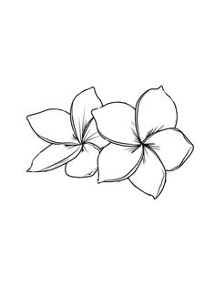 the outline of a flower on a white background