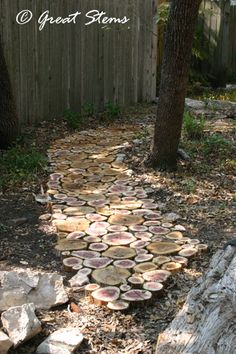 a path made out of logs in front of a wooden fence and tree stumps