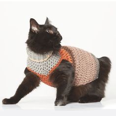 a black cat wearing a sweater and looking up