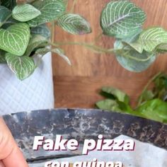 a person holding up a fake pizza in front of a potted plant with the words fake pizza on it