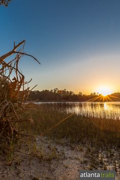 the sun is setting over a body of water with tall grass in front of it