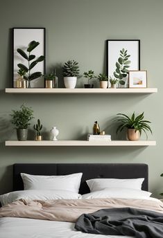 there are two shelves above the bed with plants on it and other things in front of them