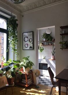 a living room filled with lots of green plants