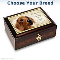 a wooden box with a pug's face on the front and side, in gold trim