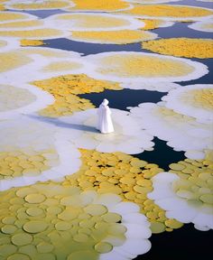 a white figure standing in the middle of water covered with yellow flowers