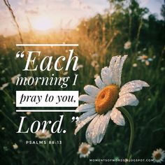 a daisy with the words each morning i pray to you, lord