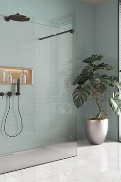 a bathroom with a plant and shower head