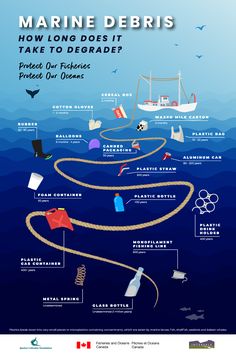 marine debris and how long does it take to degrade? infographical poster