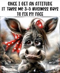 a cow with a red bow on it's head and text that reads, once i get an attitude it takes me 3 - 5 - 5 business days to fix my face