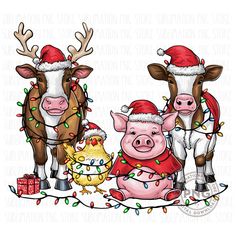 three cows wearing christmas hats and standing next to each other